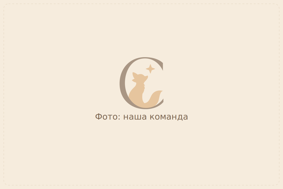 Команда «Сузір’я довіри»